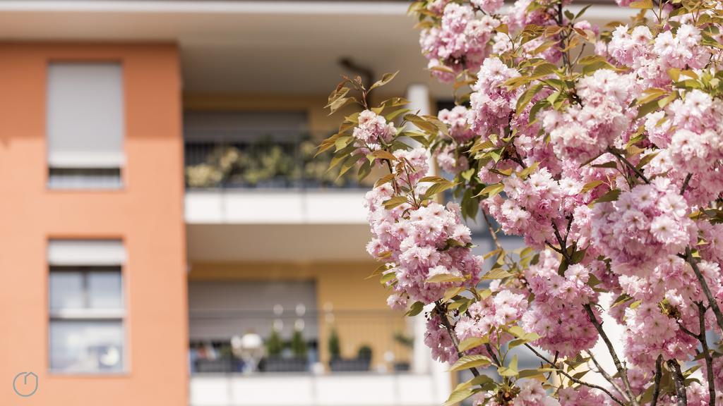 Italianway - Marcantonio Mailand Exterior foto